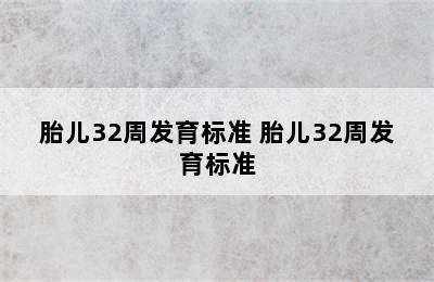 胎儿32周发育标准 胎儿32周发育标准